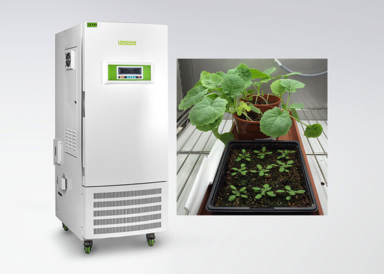 Câmara de crescimento vegetal do controle de umidade do CE para o tipo especial de cultura de tecido de planta