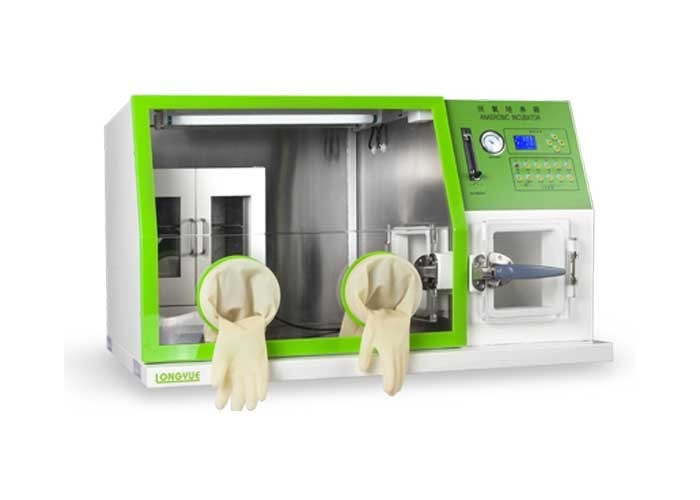 incubadora 600W anaeróbica automática para a cultura celular 82×66×67 LAI-3 do laboratório