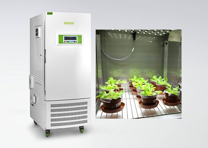 Tamanho da câmara de crescimento vegetal 95*70*160cm da germinação da semente do laboratório